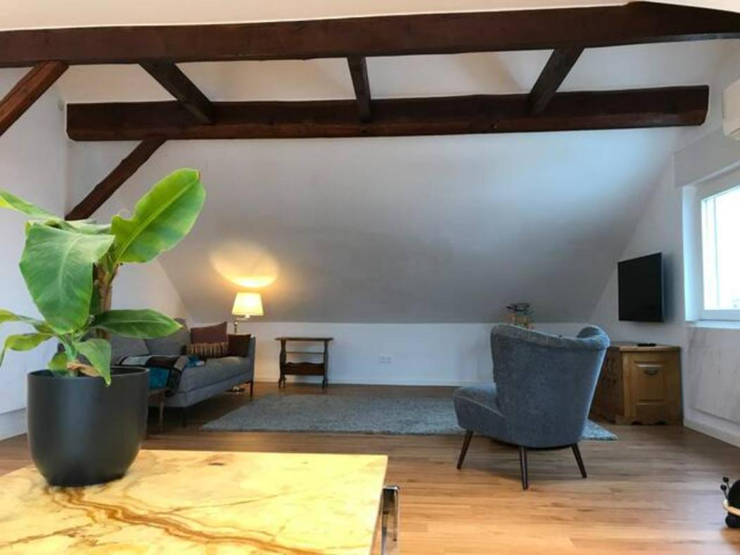 Luxury Top Floor Appartment Kassel Dış mekan fotoğraf